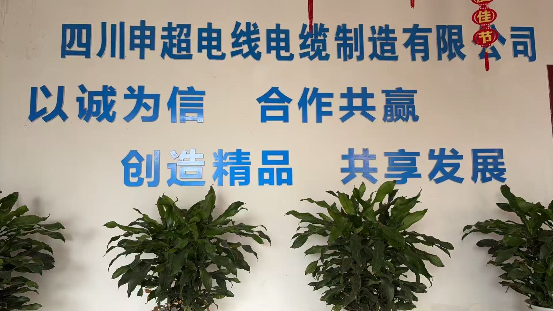四川申超电线电缆制造有限公司
