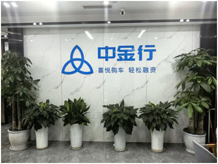 成都岭域空航科技有限公司