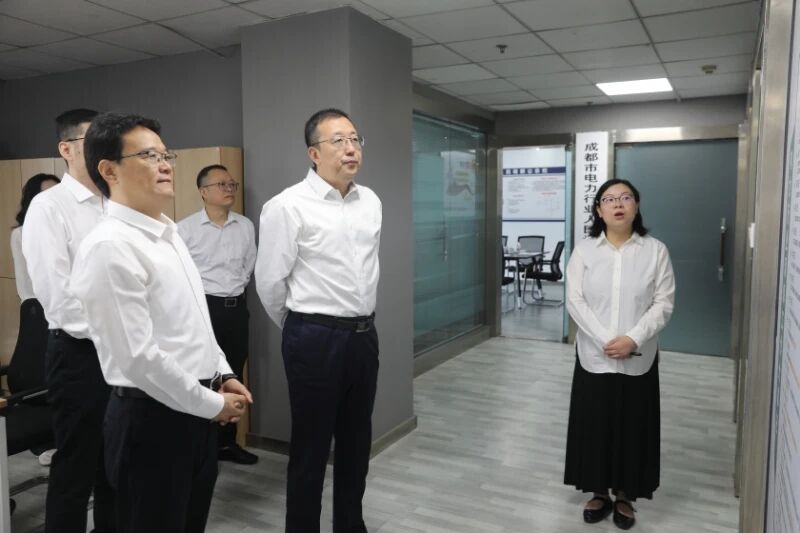 【协会动态】国家电网公司领导莅临我会调研指导工作